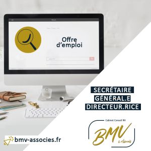 Offre d'emploi directeur commercial