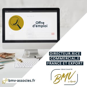 Offre d'emploi directeur commercial